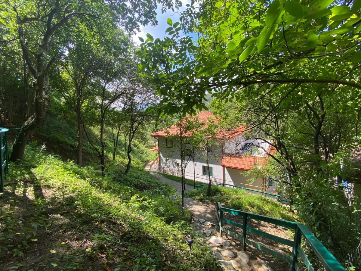 Casa Lila *